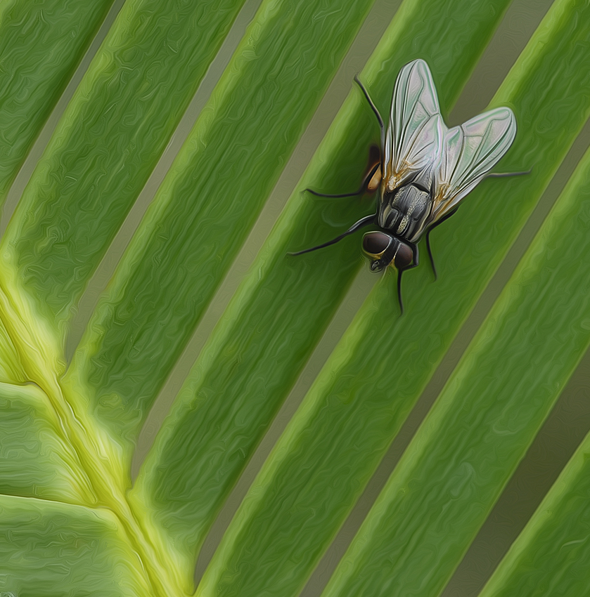 001 Tiere Botanischer Garten Biene_DDB1440-1 Kopie.jpg